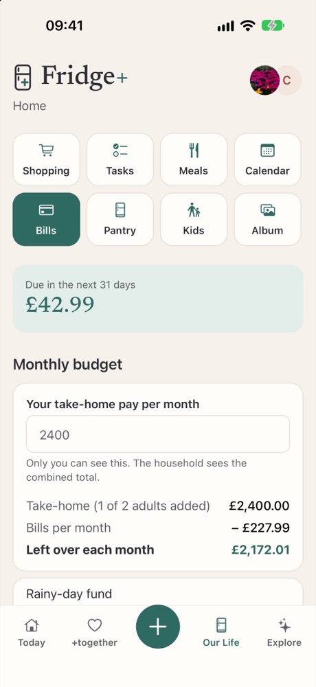 Monthly budget showing what's left over